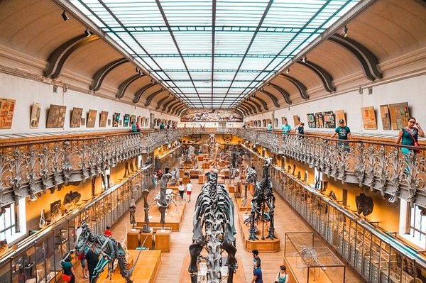 Comment se renseigner et se préparer pour une visite de musée ou d'exposition au Sénégal ?